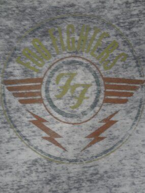 FOO FIGHTERS BURNOUT SEE-THRU TEE *SOME WEAR* GRAY LARGE T-SHIRT L856